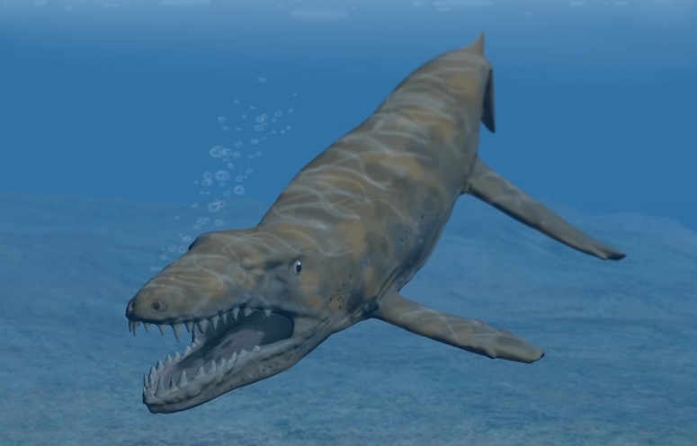 Ca sau tung muon o bien nhung that bai hinh anh