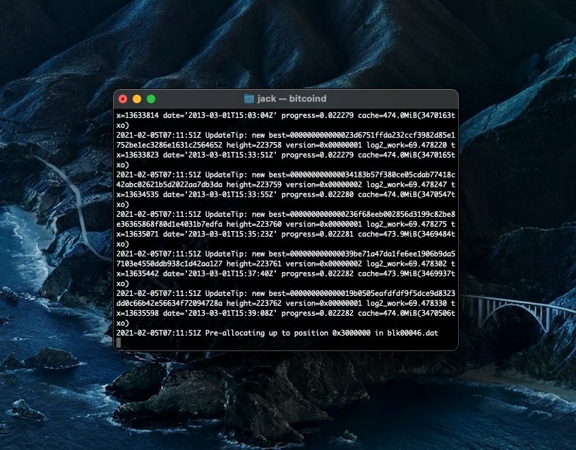 CEO Twitter ung ho Bitcoin anh 1