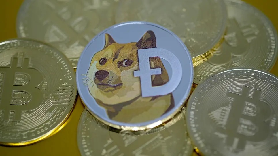 Cha de Dogecoin: 'Elon Musk la ke chi biet quan tam toi ban than' hinh anh