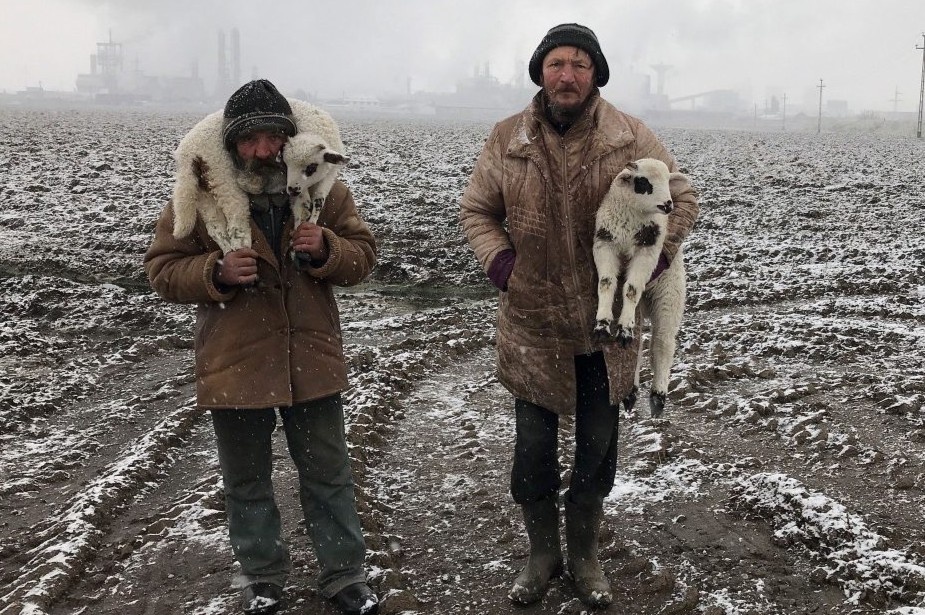 iPhone 7 thang giai dac biet trong cuoc thi nhiep anh hinh anh