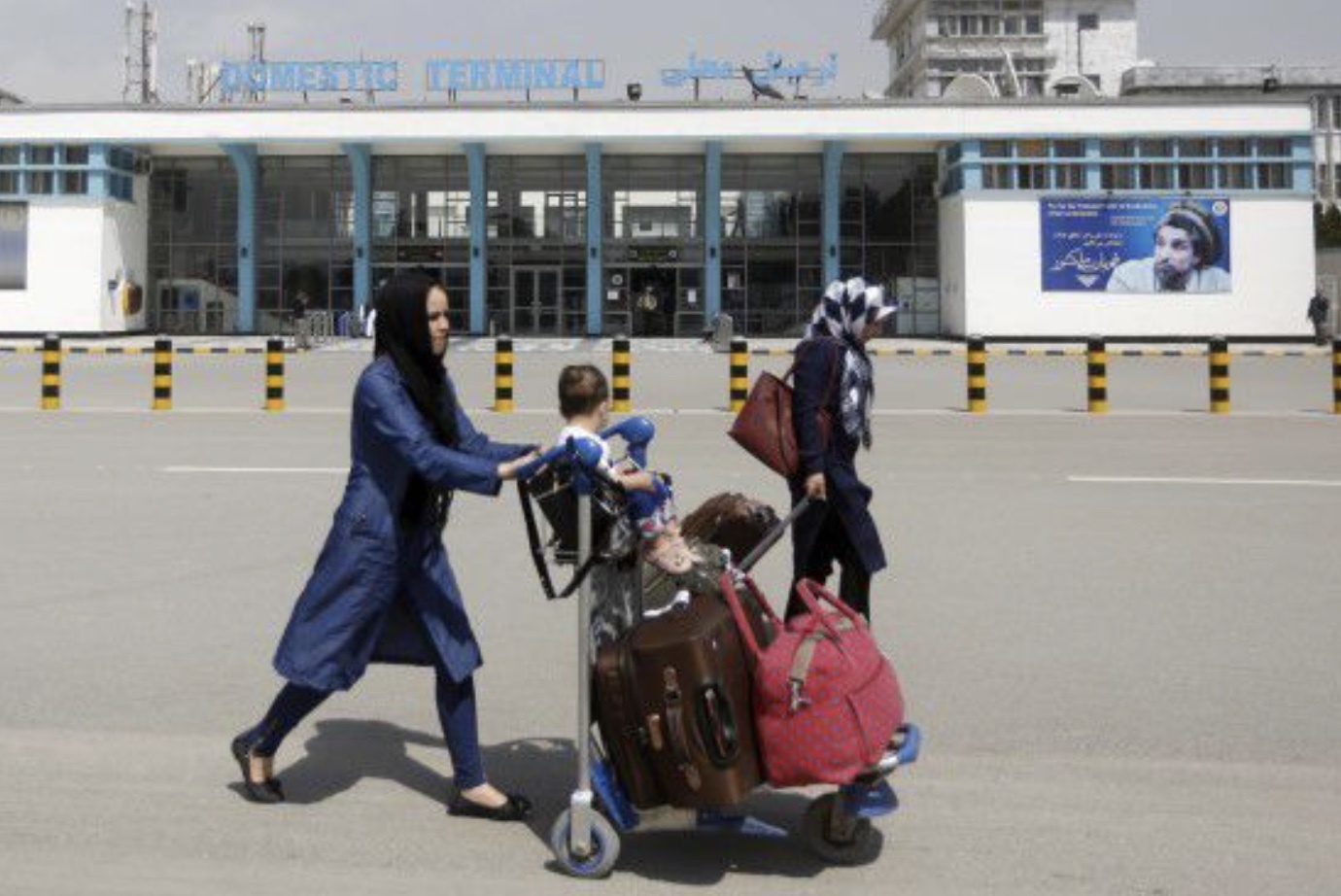 My voi va go anh co nguoi Afghanistan tren Internet hinh anh