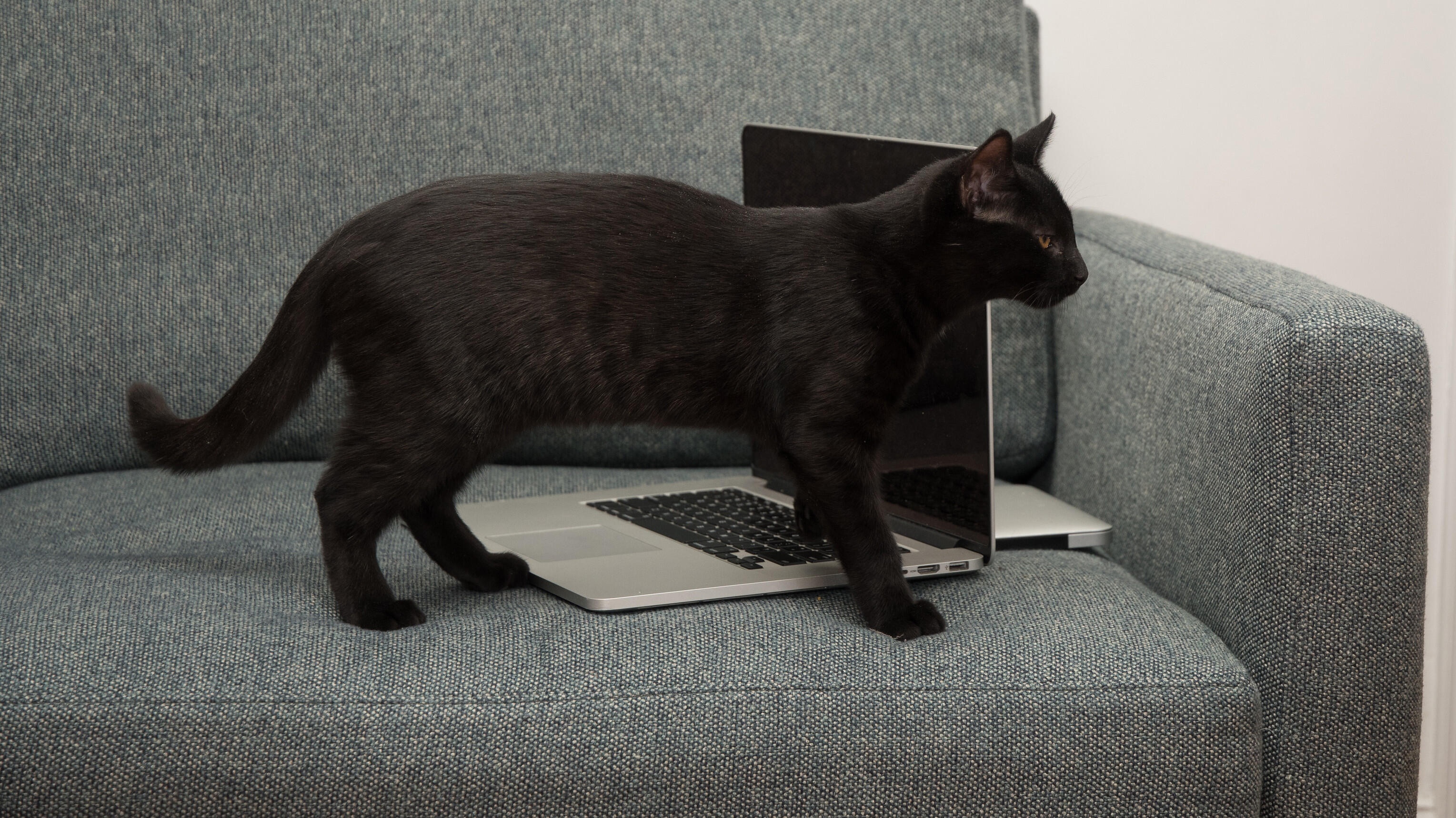 su dung laptop dung cach anh 1