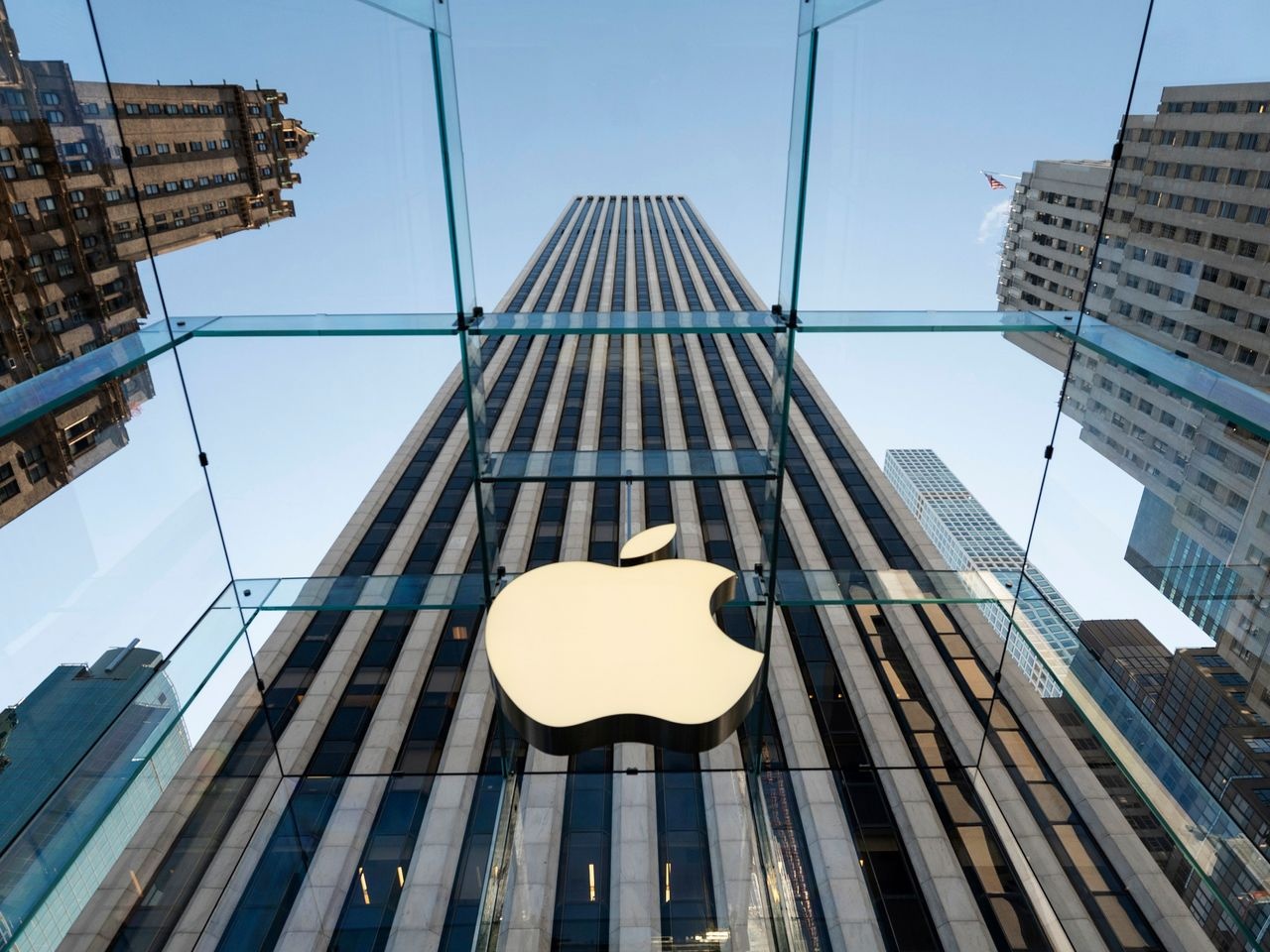 tiem nang phat trien cua ong lon cong nghe anh 3