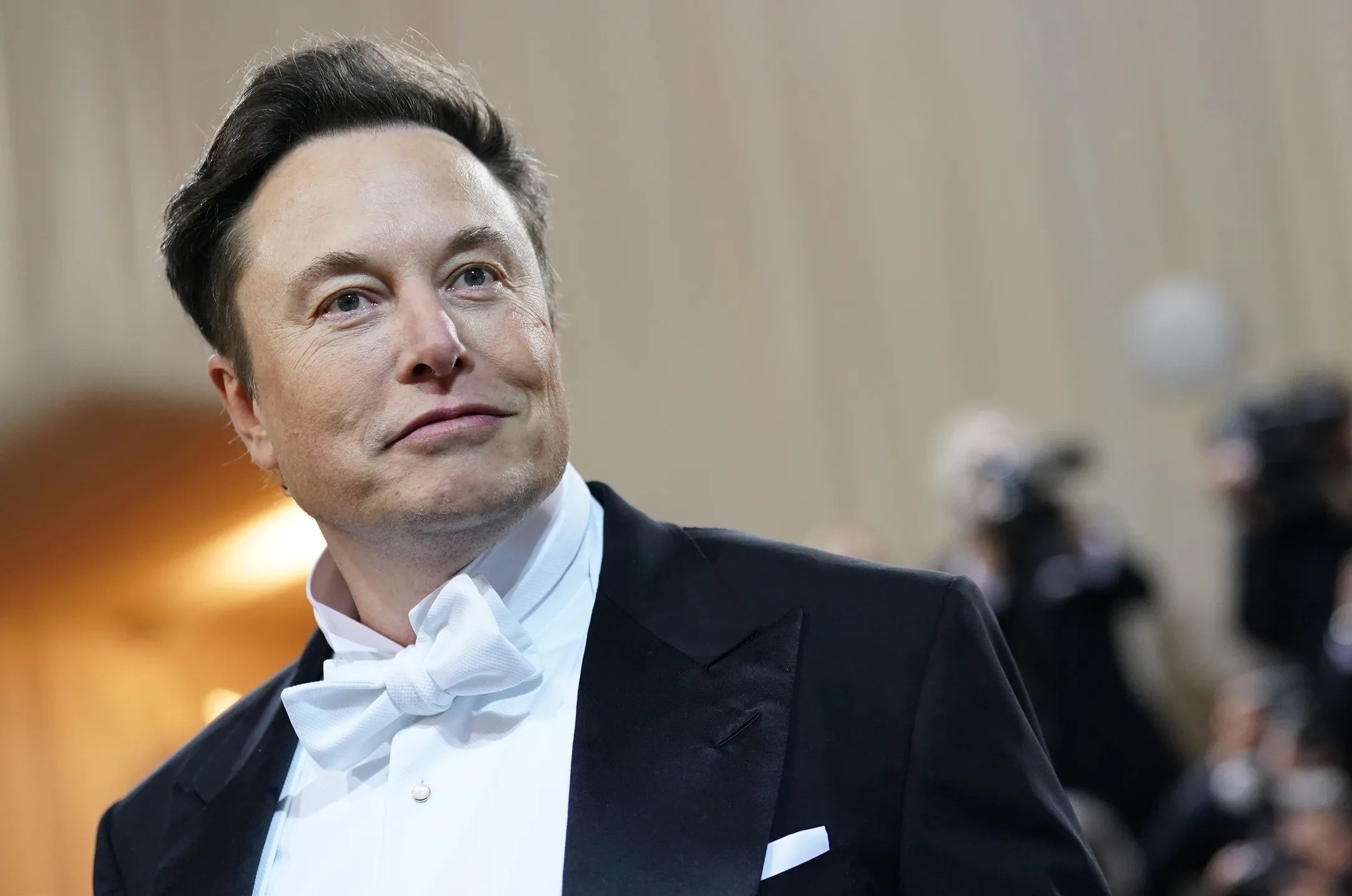 Elon Musk muon Twitter co mot ty nguoi dung hinh anh