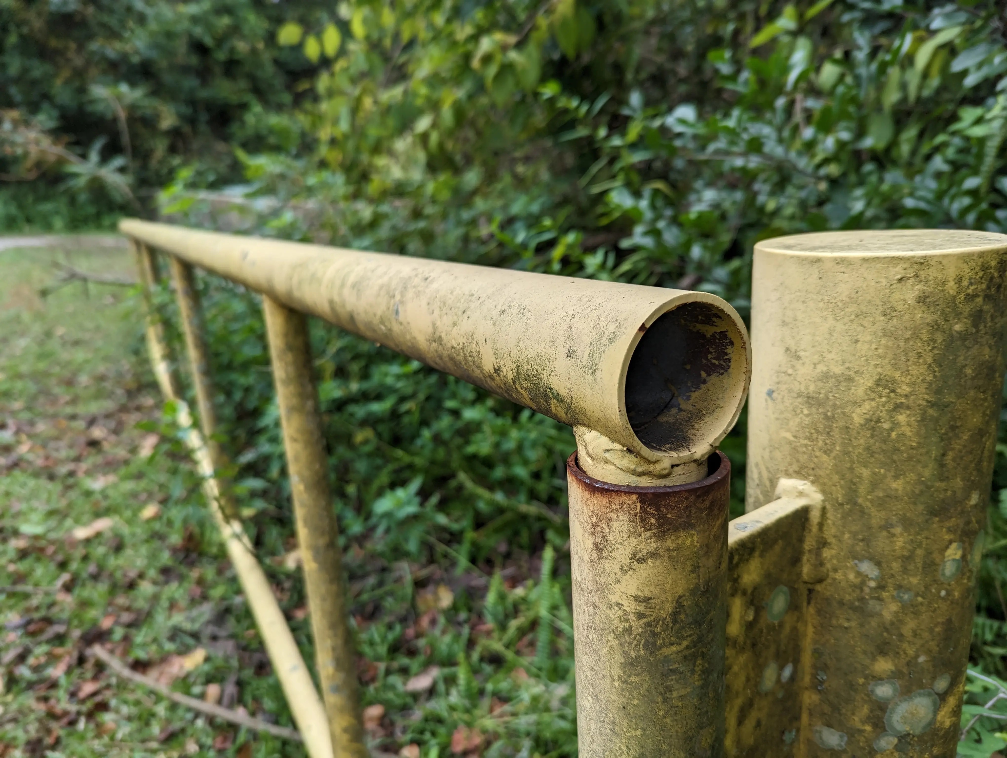 chụp ảnh bằng điện thoại ảnh 4 chup anh bang dien thoai anh 4