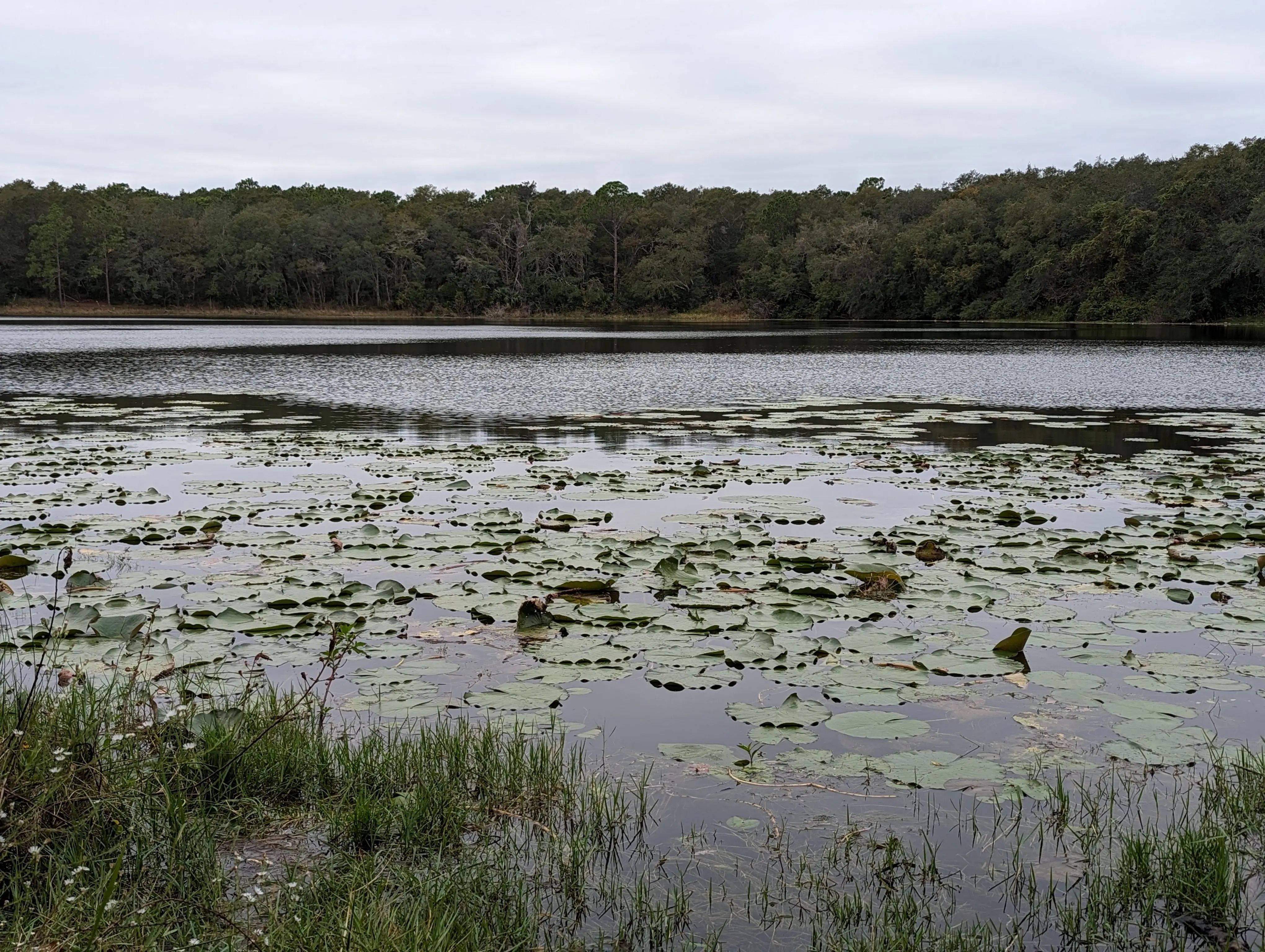 chụp ảnh bằng điện thoại ảnh 9 chup anh bang dien thoai anh 9