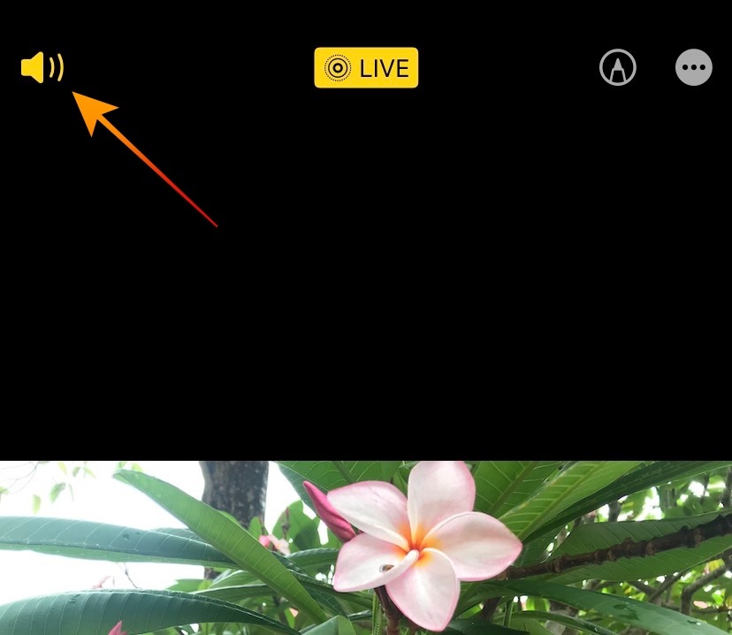 sua anh tren iPhone anh 4