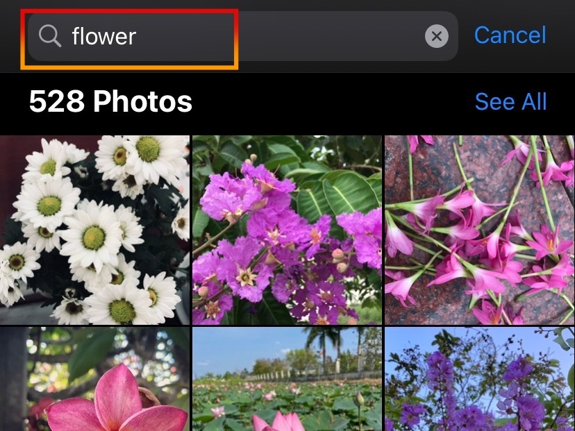 sua anh tren iPhone anh 1
