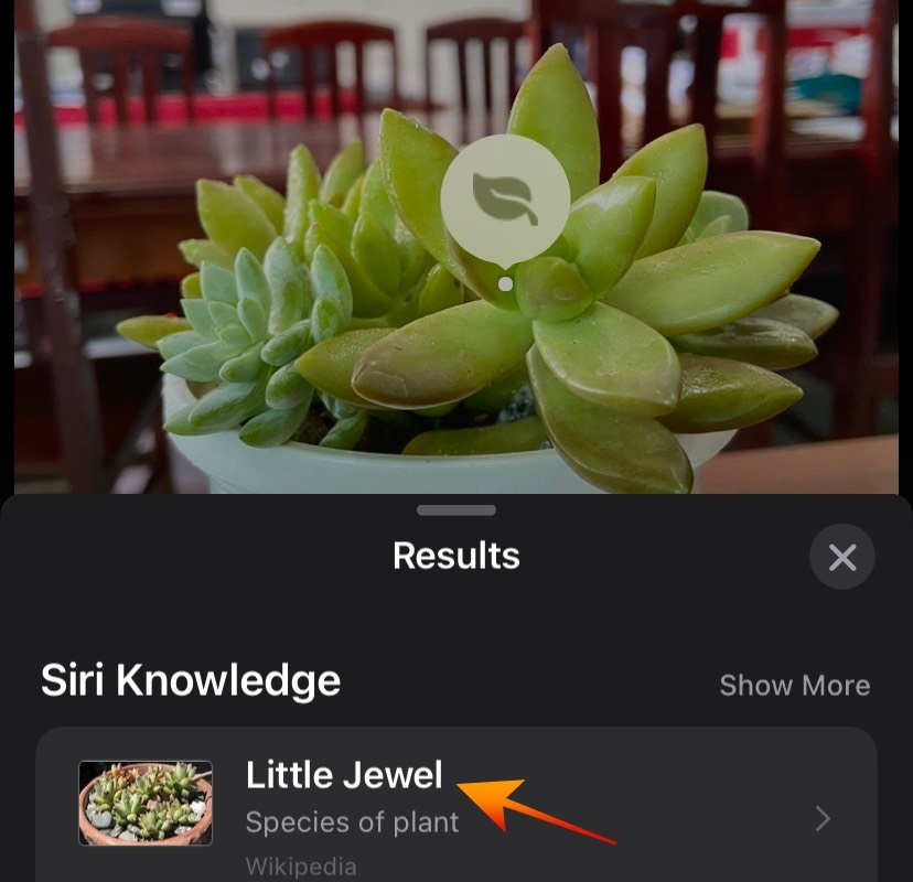 sua anh tren iPhone anh 8