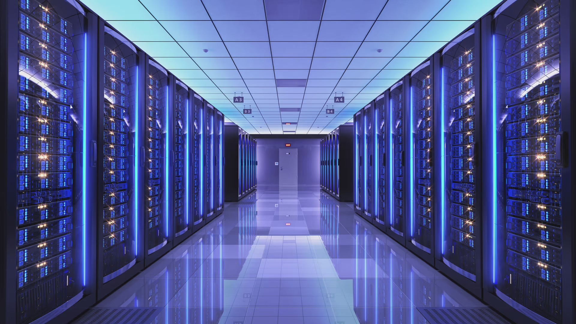 Lam the nao de luu du lieu hang tram nam hinh anh