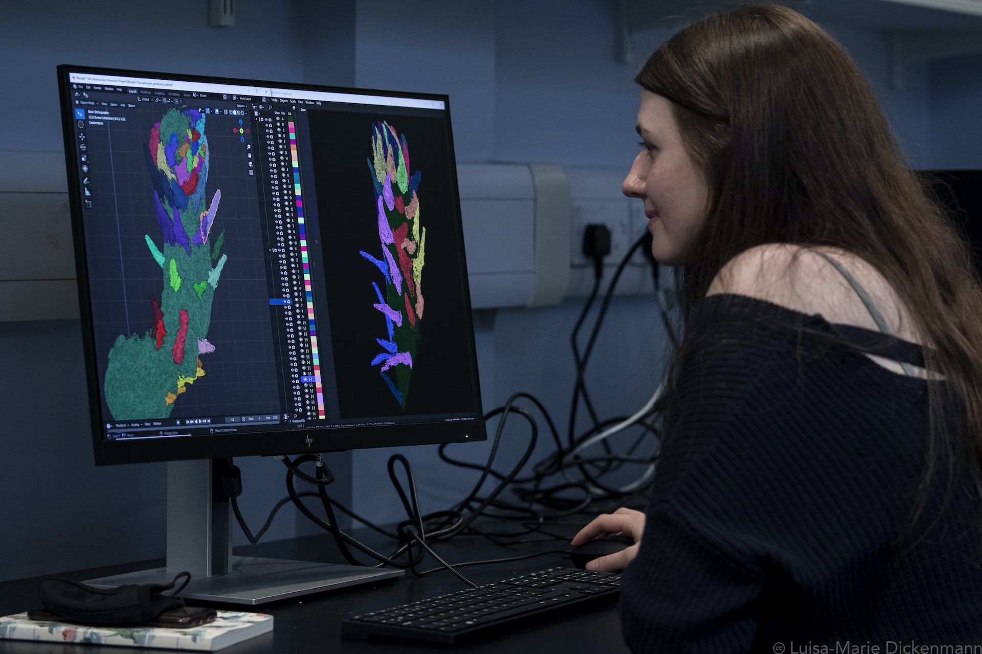 xoan oc Fibonacci anh 3