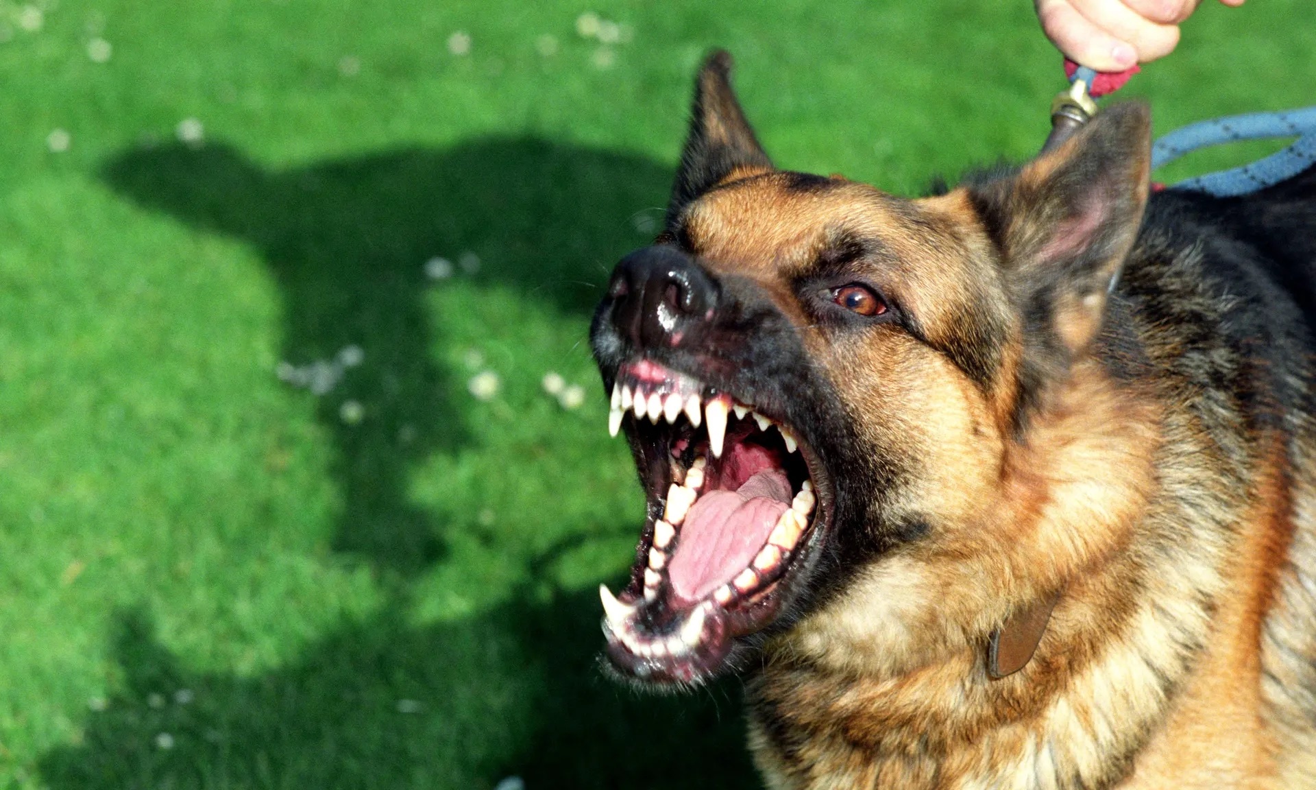 Cho can nguoi nhieu hon vao nhung ngay nang nong hinh anh