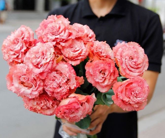 Ngam ‘ky quan’ cua cac loai hoa Nhat Ban giua Sai Gon hinh anh