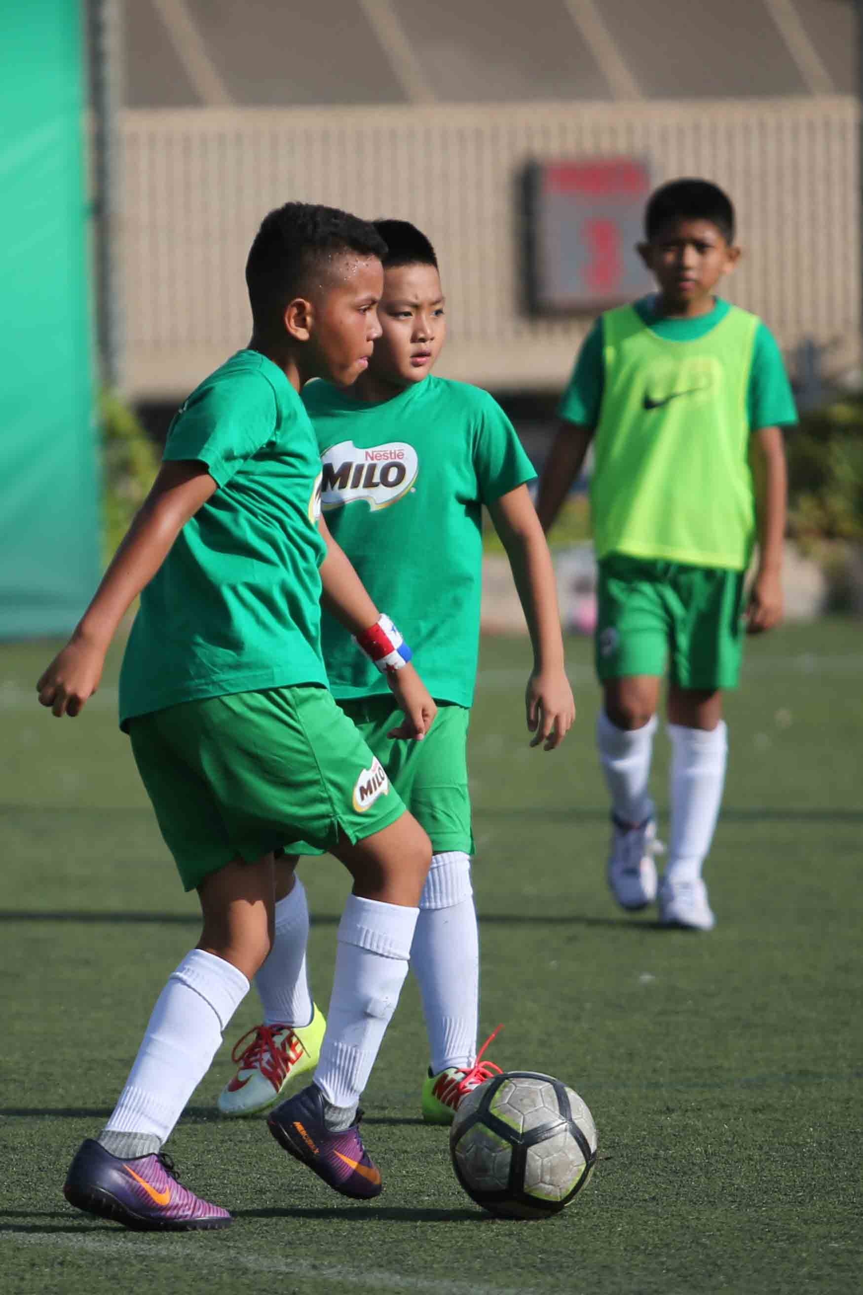 Milo ảnh 1 Milo anh 1