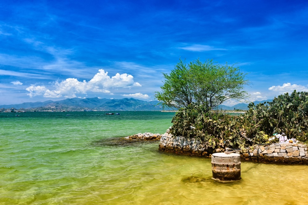 Biet thu nghi duong anh 4