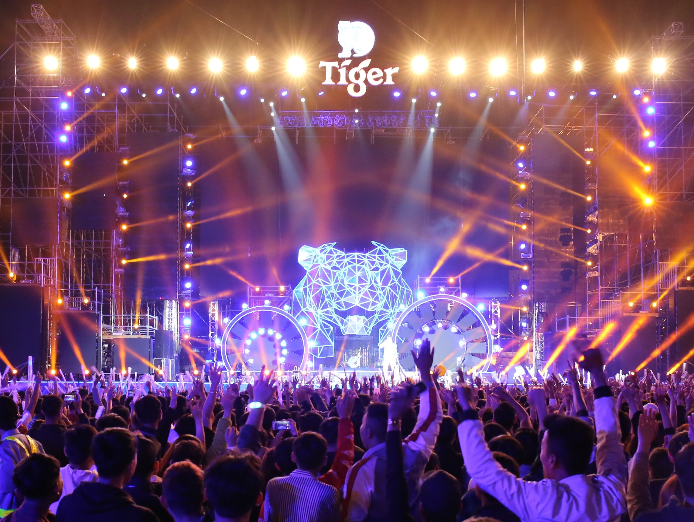 Tiger Remix ảnh 7 Tiger Remix anh 7