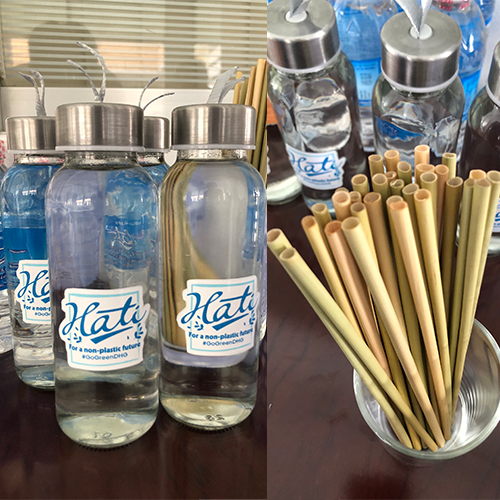 bao ve moi truong anh 3