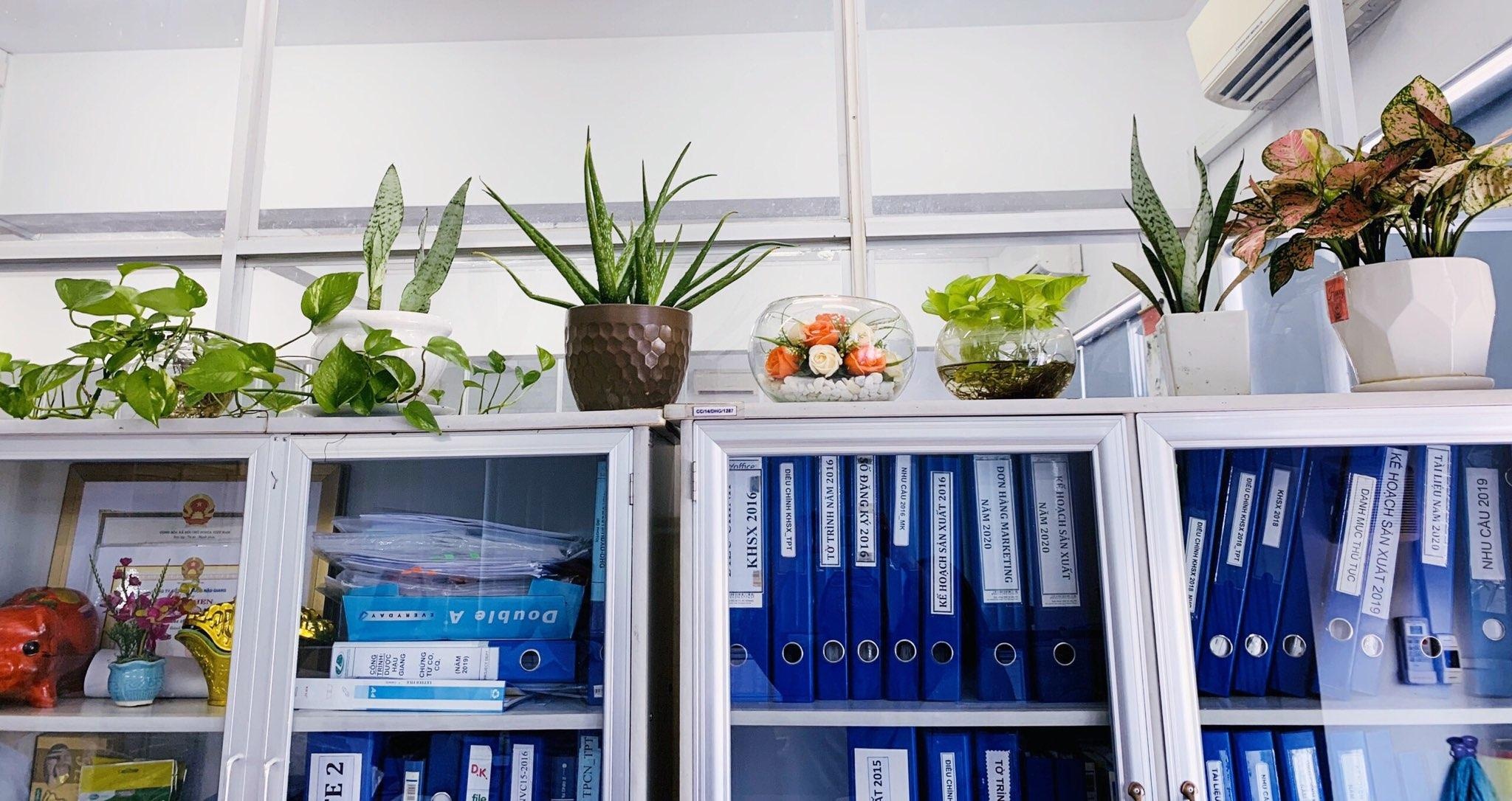 bao ve moi truong anh 4