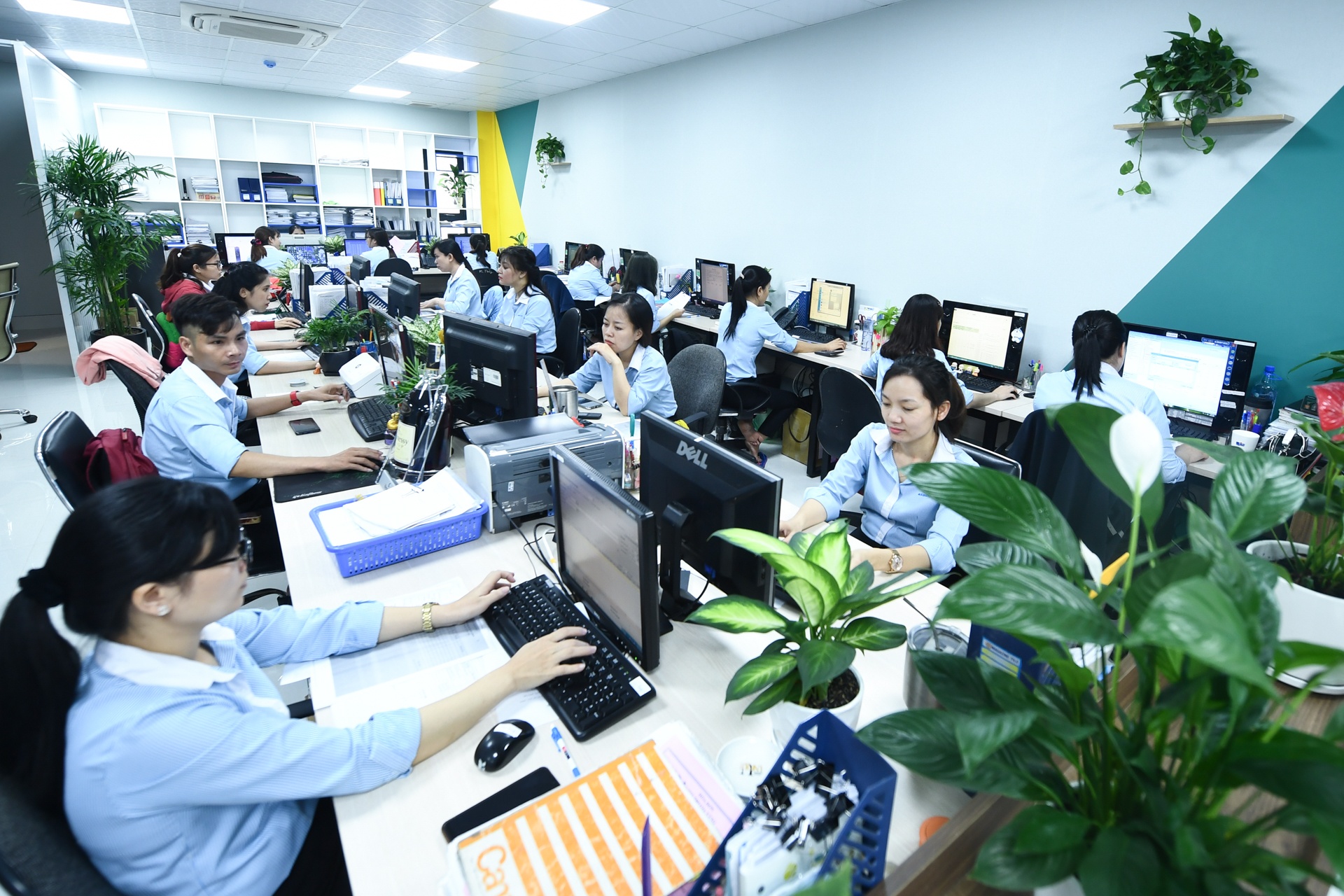 Toa nha Asanzo anh 8