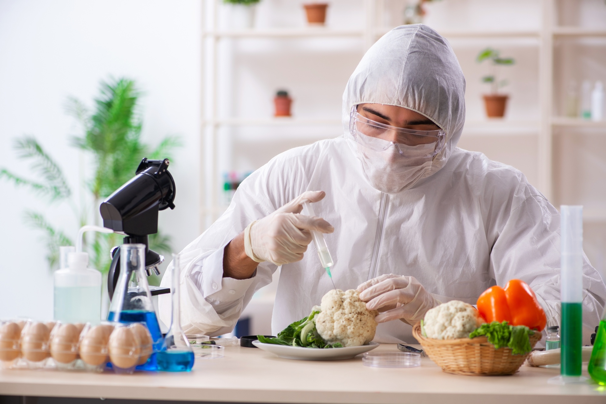 ENZ,  du hoc New Zealand anh 10