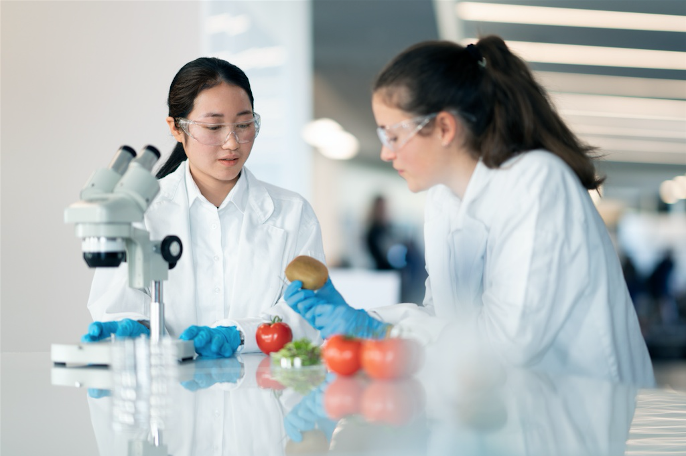 ENZ,  du hoc New Zealand anh 9