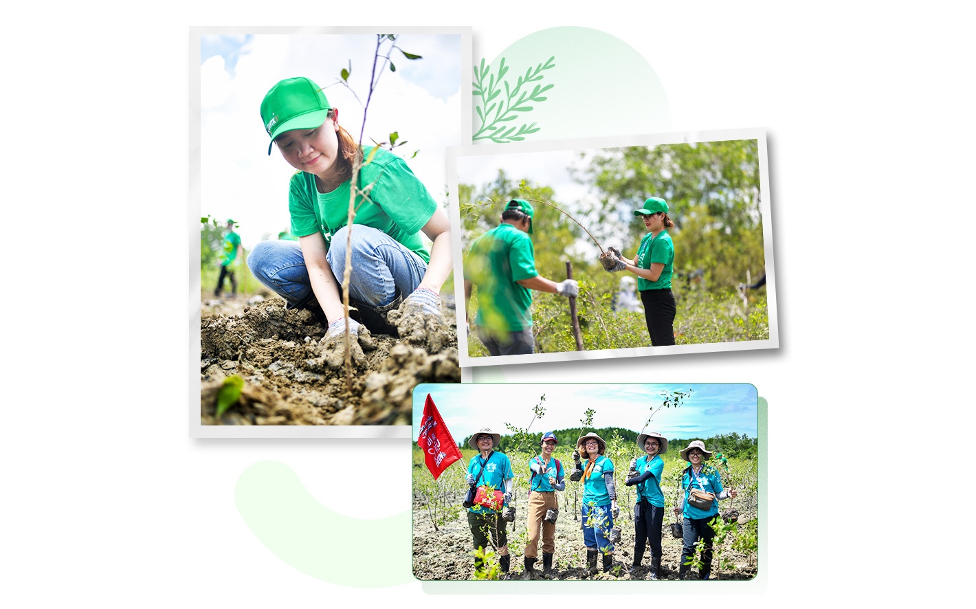 Gop suc nho,  xay rung lon anh 1