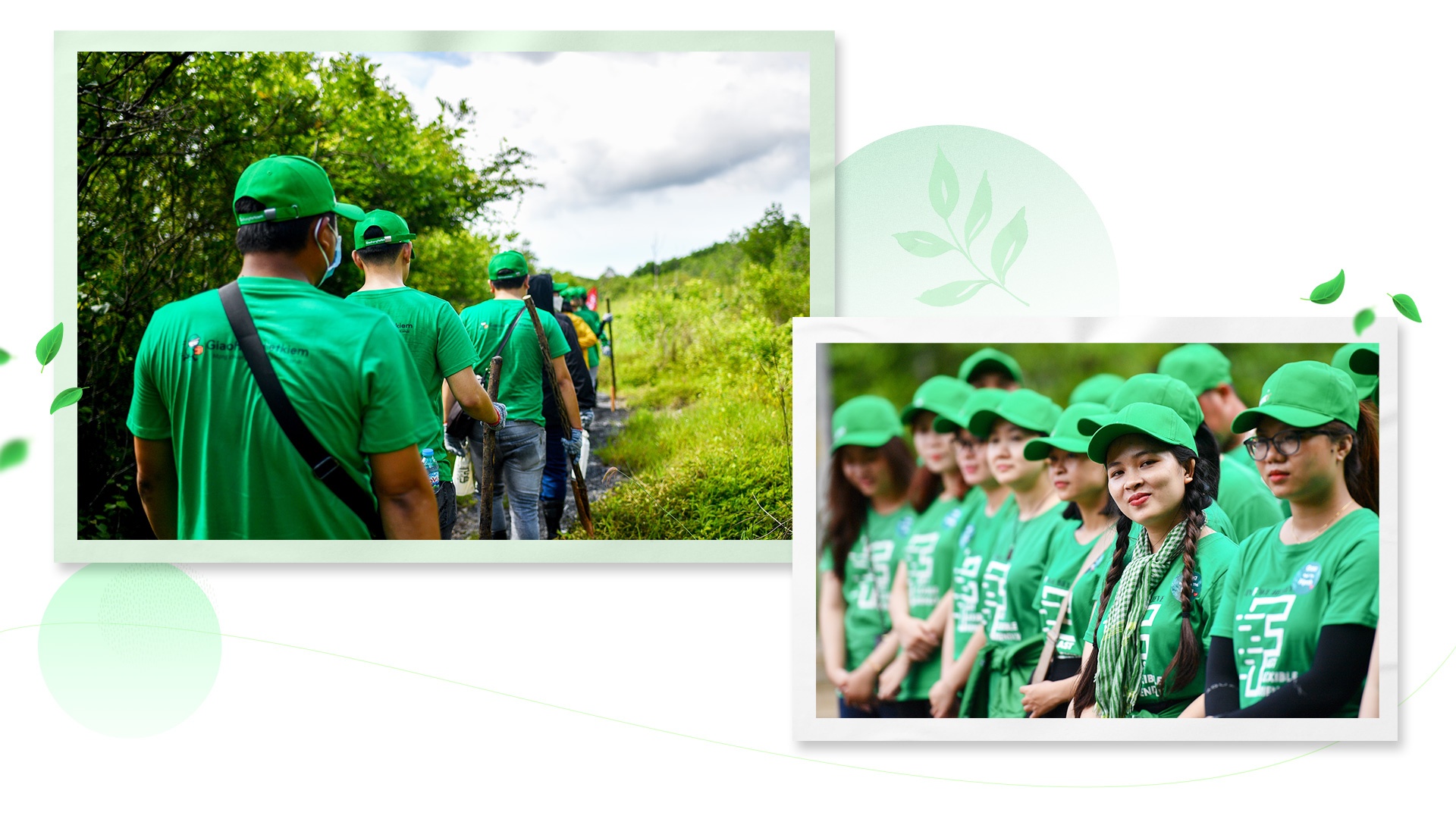 Gop suc nho,  xay rung lon anh 3