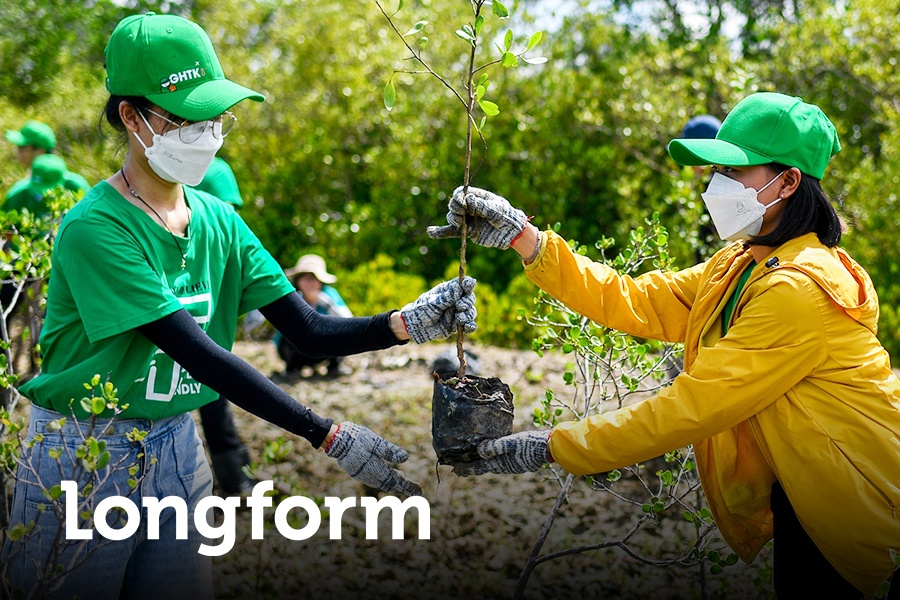 Nguoi tre gop suc nho, xay rung lon hinh anh