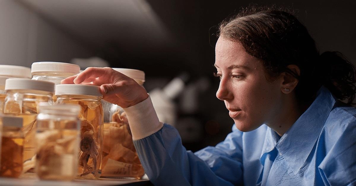 du hoc New Zealand anh 3