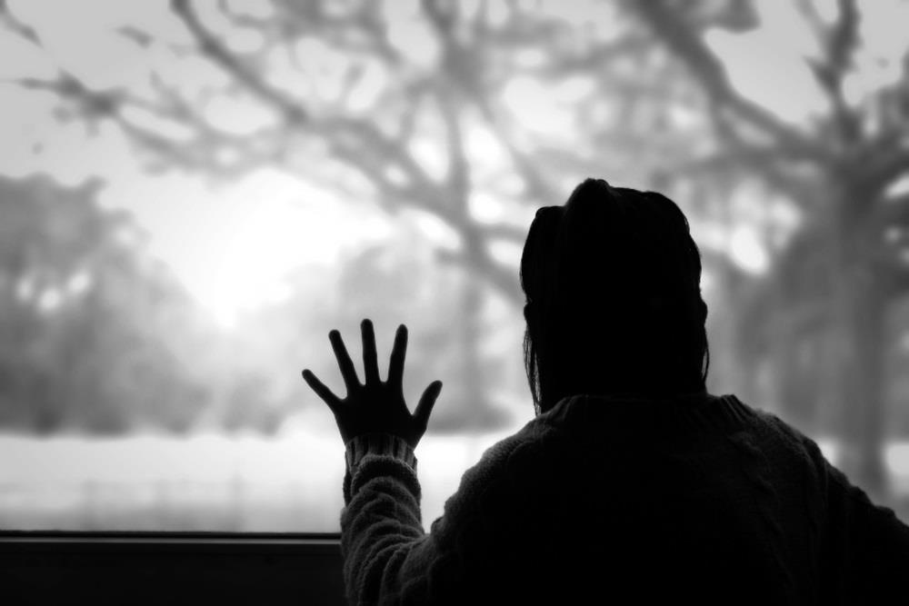 du hoc New Zealand anh 1