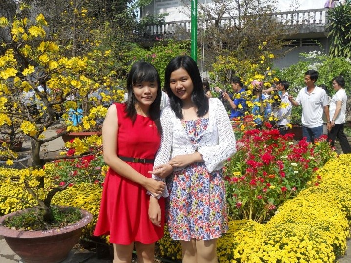 Dang le Tet nay toi duoc ve Viet Nam hinh anh