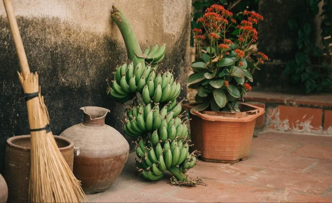 ký ức,  sum vầy,  ngày Tết ảnh 5 ky uc,  sum vay,  ngay Tet anh 5