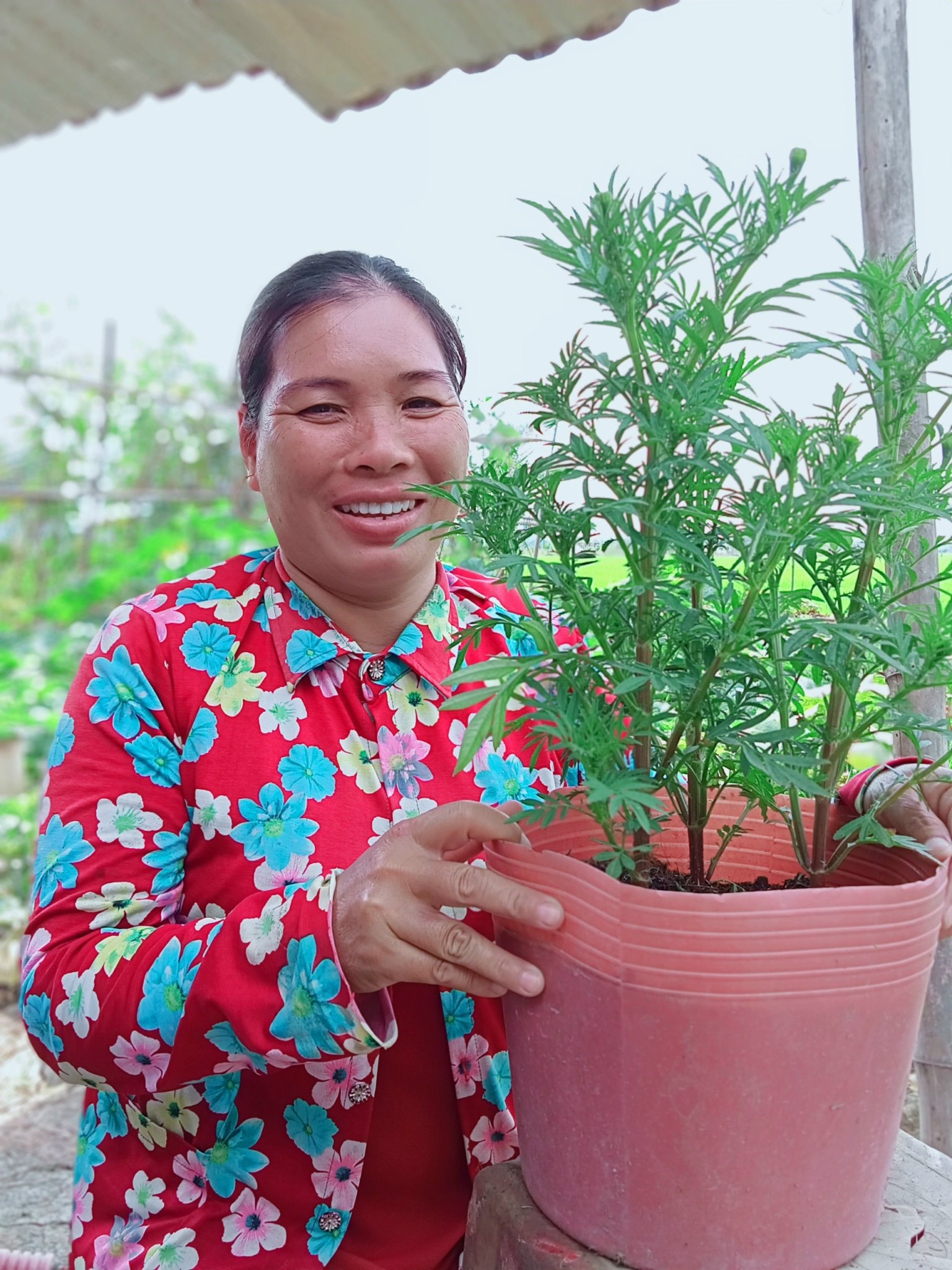 ký ức,  sum vầy,  ngày Tết ảnh 3 ky uc,  sum vay,  ngay Tet anh 3