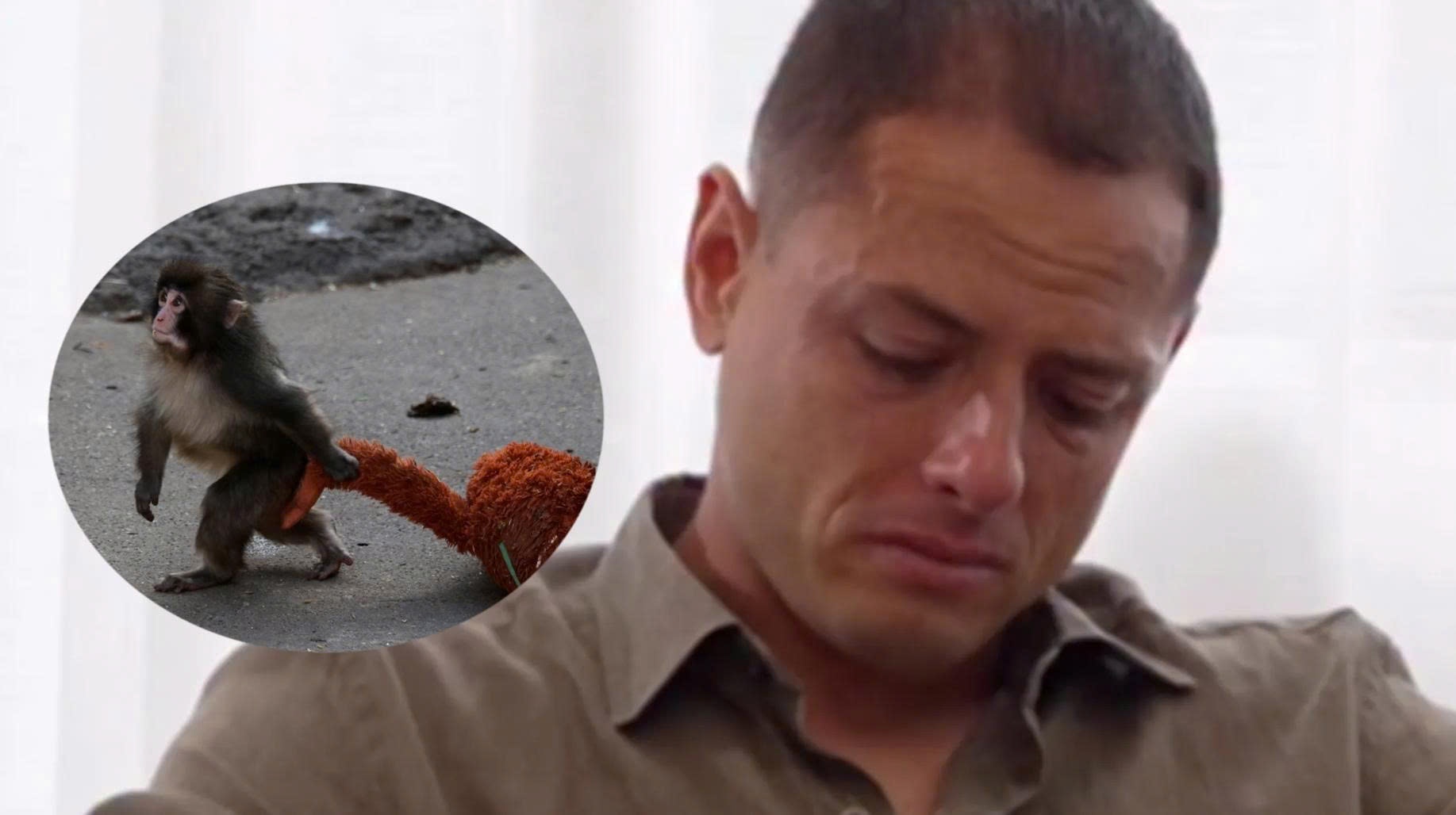 Khi con 'co don' khien Chicharito khoc nuc no hinh anh