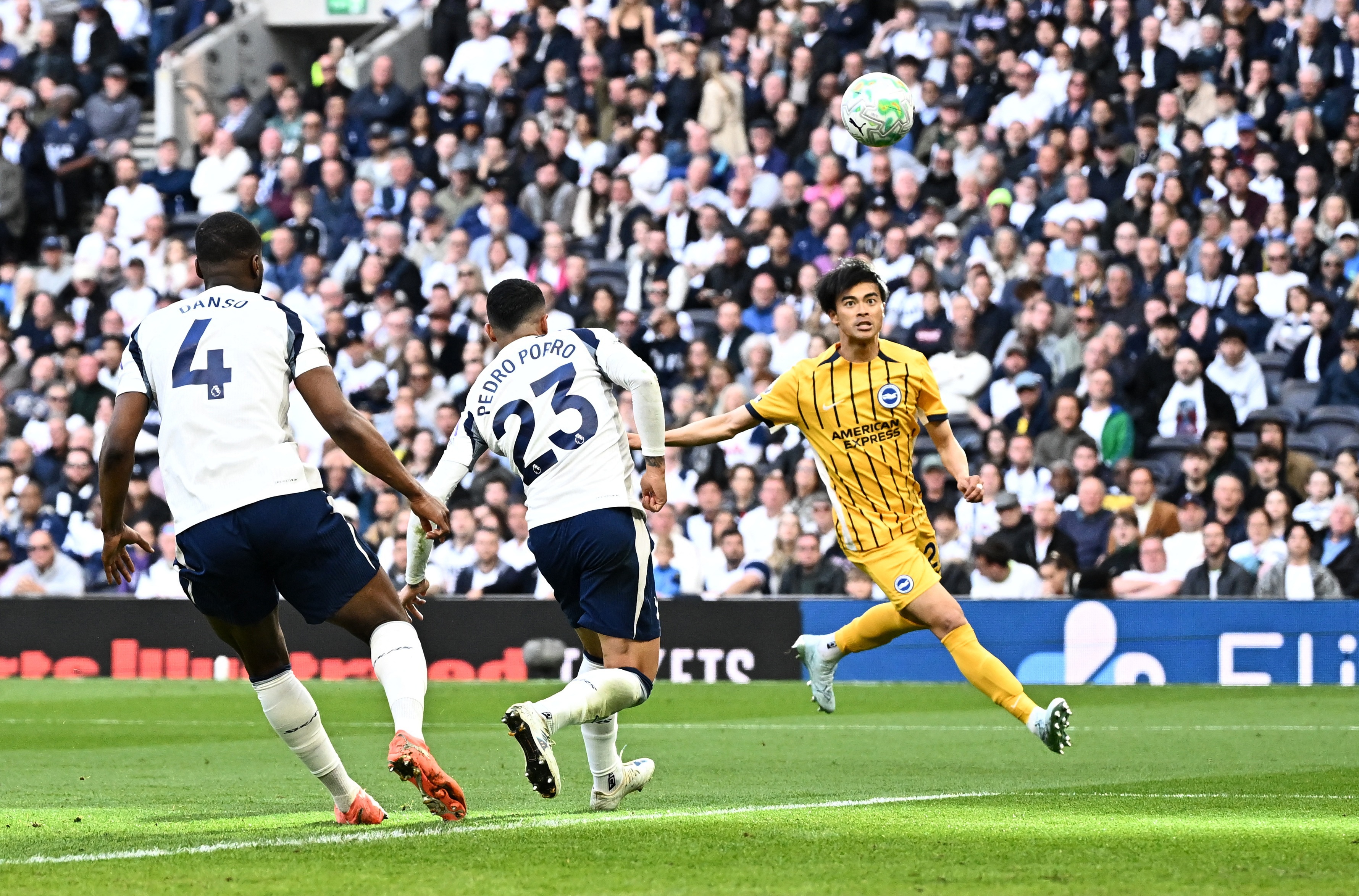 Highlights Tottenham 2-2 Brighton hinh anh