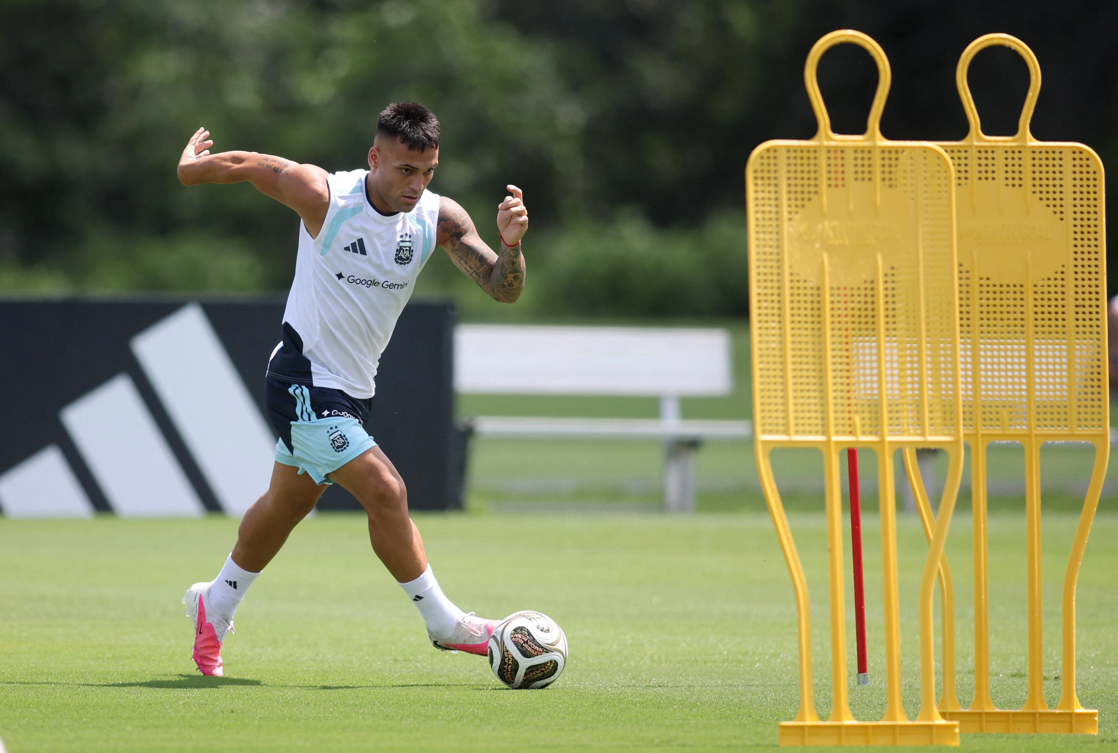 Lautaro Martinez ảnh 2