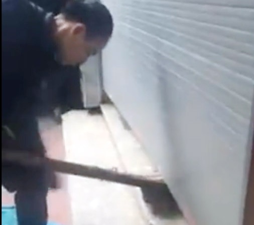 Xem trom xep gach cay cua cuon hinh anh