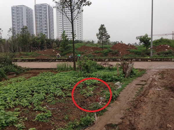 Camera ghi hinh nghi can giet xe om trong dem hinh anh