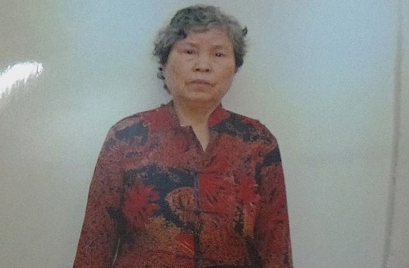 Ba lao 75 tuoi moc vi du khach xem phao hoa hinh anh