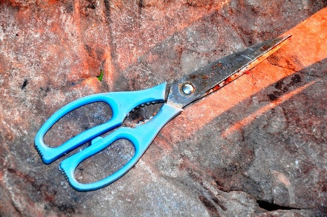 Ca gia dinh bi truy sat sau vu va cham giao thong hinh anh