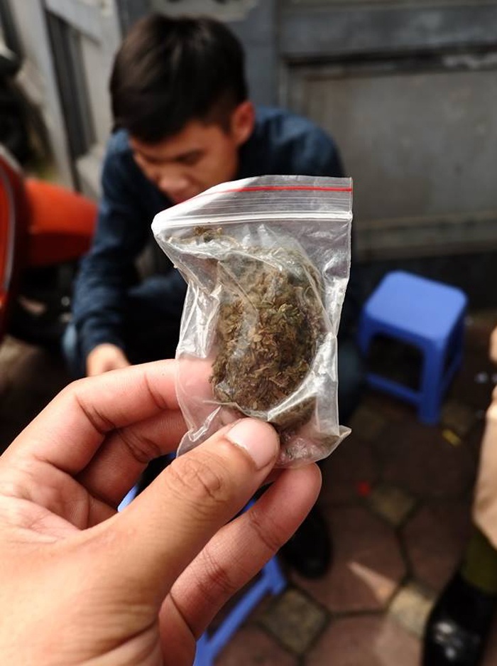 Nam sinh nghiện cần sa  ảnh 1 Nam sinh nghien can sa anh 1