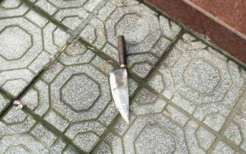 con rể giết mẹ vợ ảnh 2 con re giet me vo anh 2