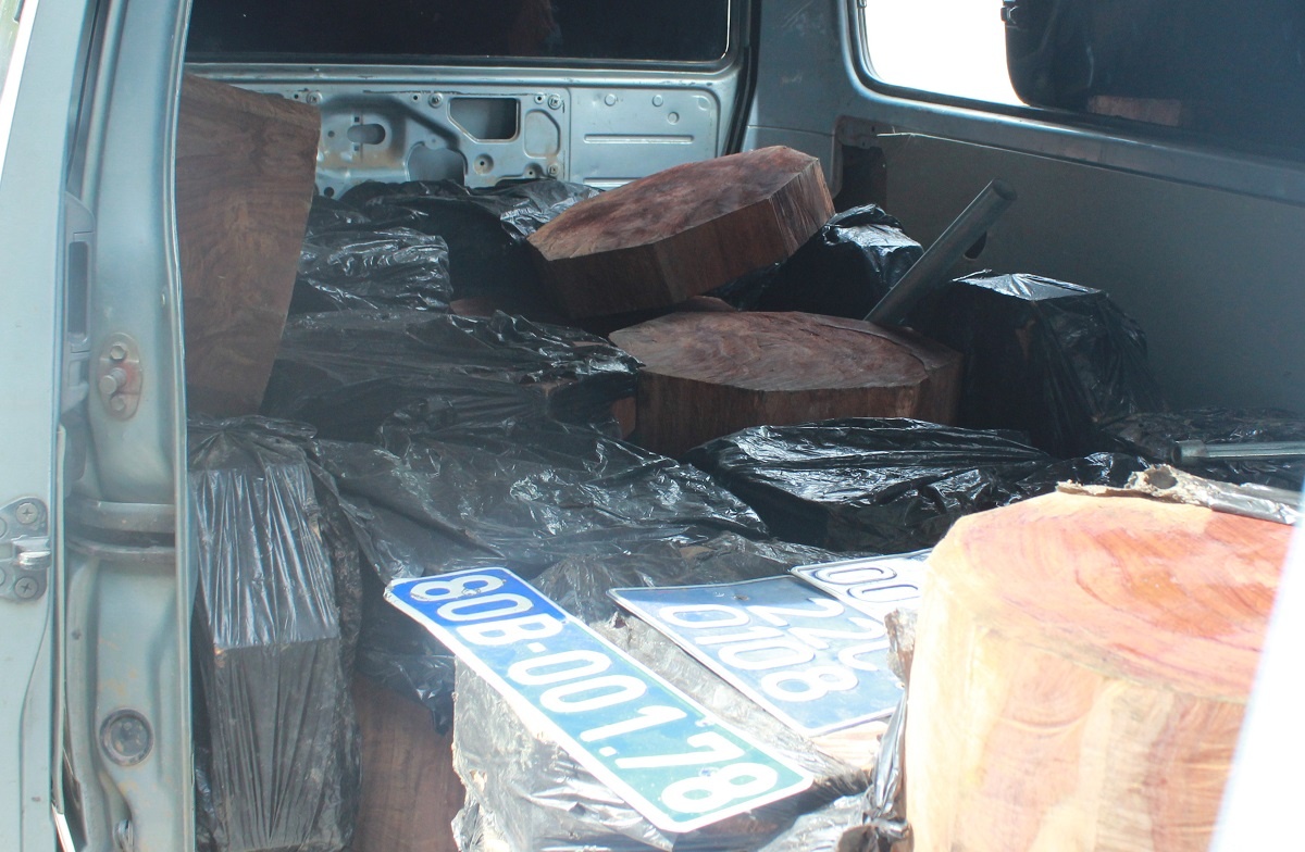 CSGT phat hien 50 khuc go cam tren oto bien xanh hinh anh