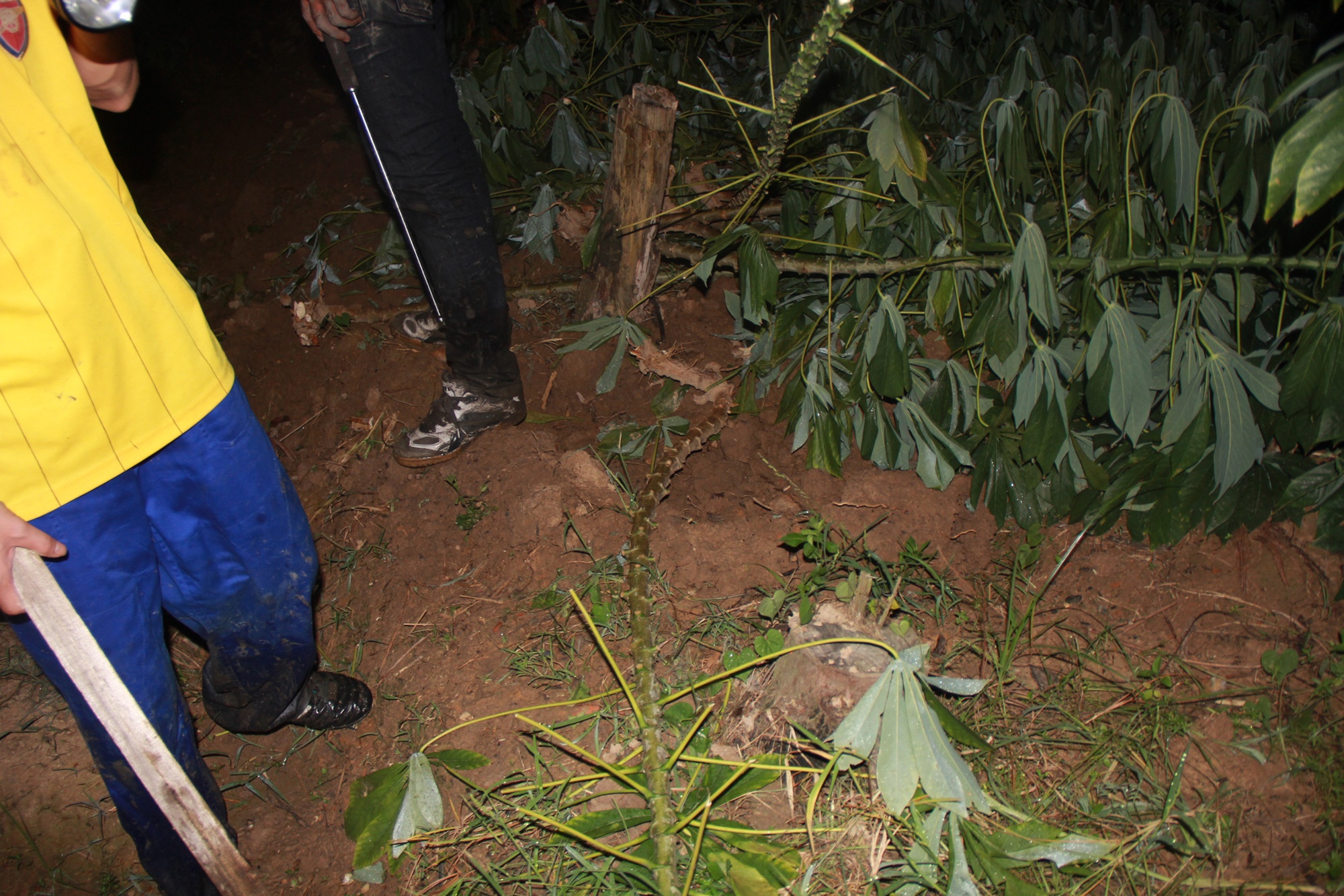 4 ba chau bi giet anh 8