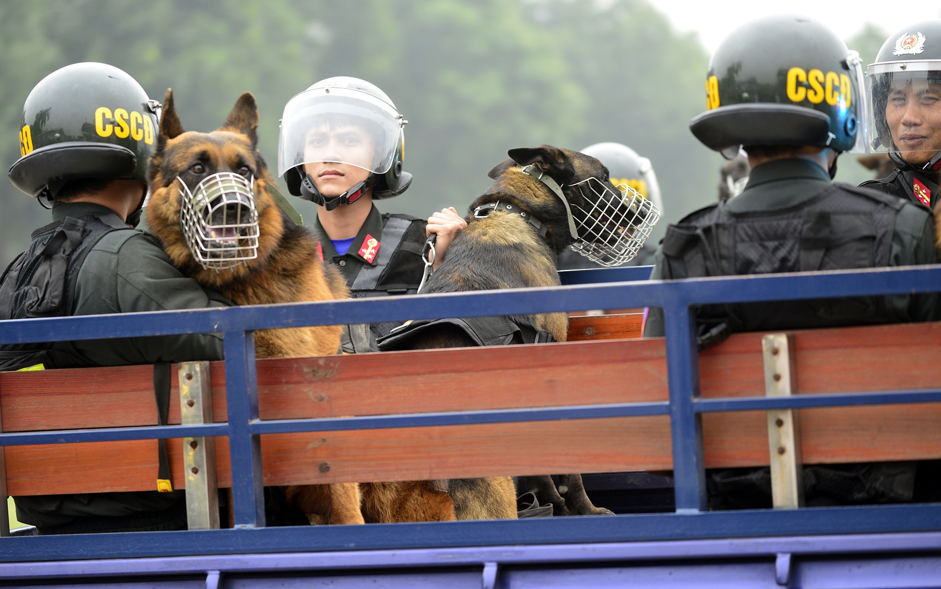 Canh sat dac nhiem co dong anh 10