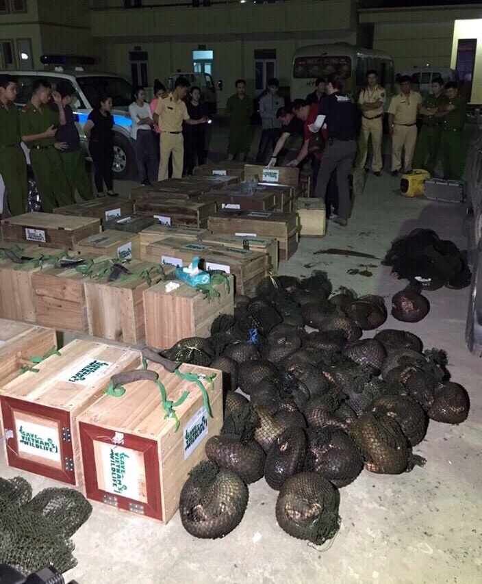 Canh sat no sung anh 1