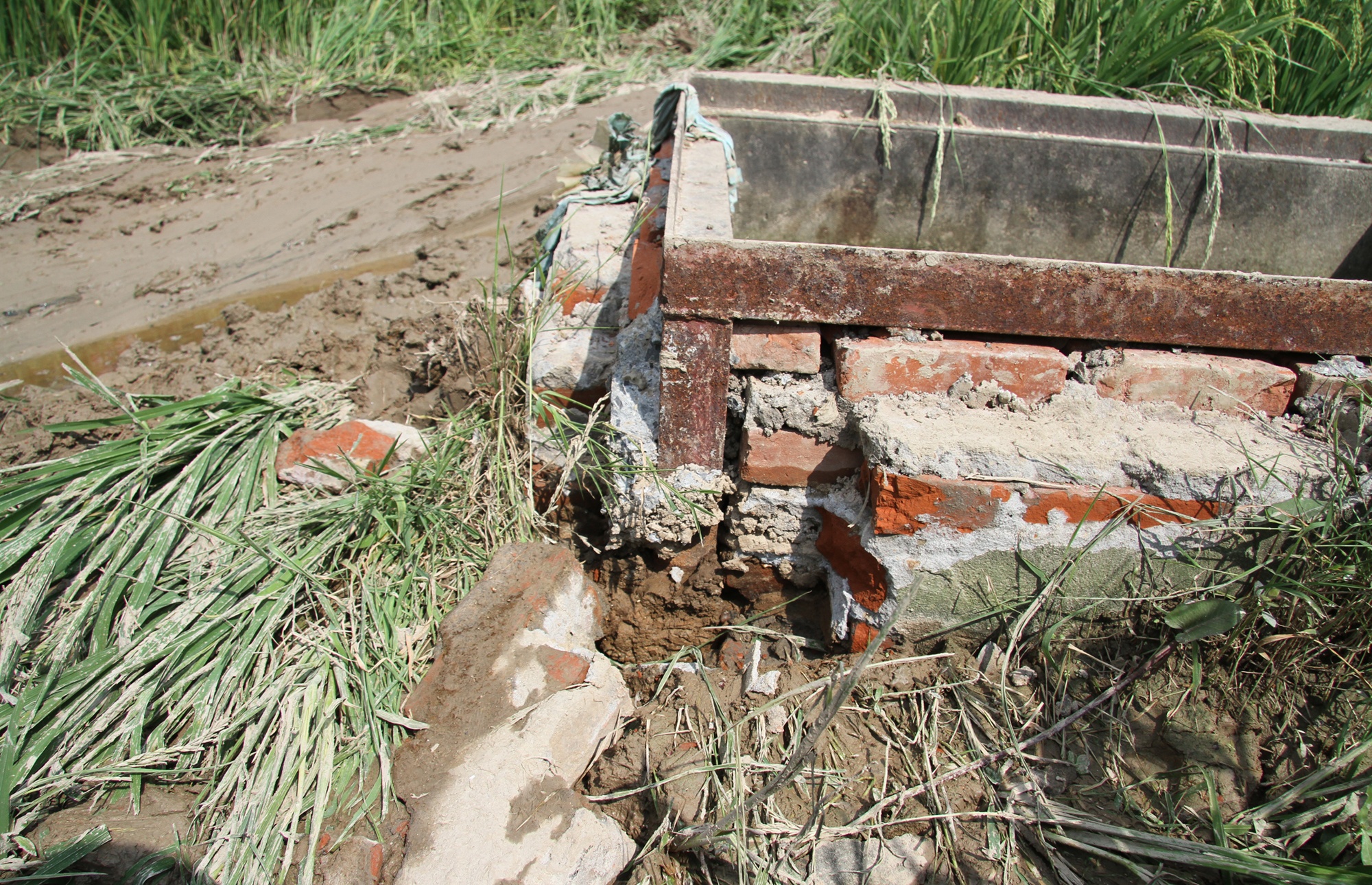 Camry dam chet 3 hoc sinh anh 7