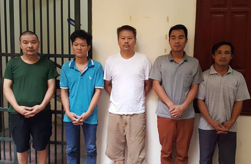 Mua hổ nấu cao ảnh 1 Mua ho nau cao anh 1