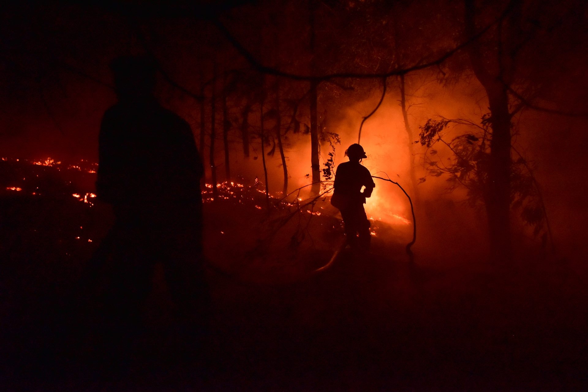 Nguoi bi thuong ke phut chua chay rung phong ho o Ha Noi hinh anh