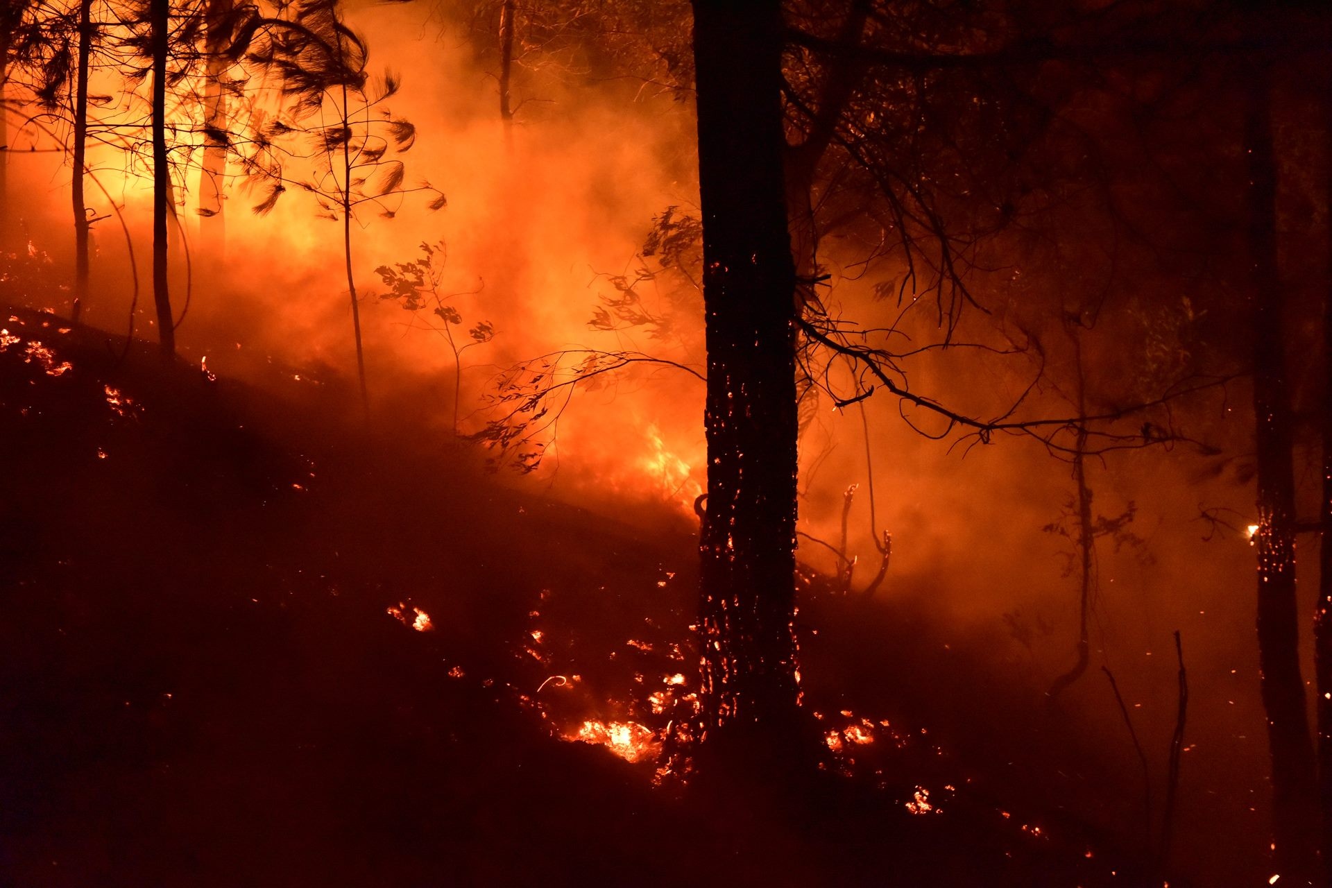 Nhan vien san golf ke lai phut rung chay trong dot nong ky luc hinh anh